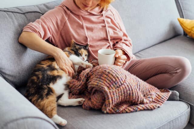 A woman drinking hot tea, petting a relaxed cat on the sofa at home.